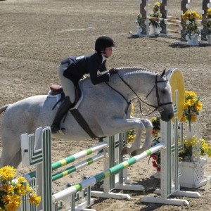 emilywilhelm