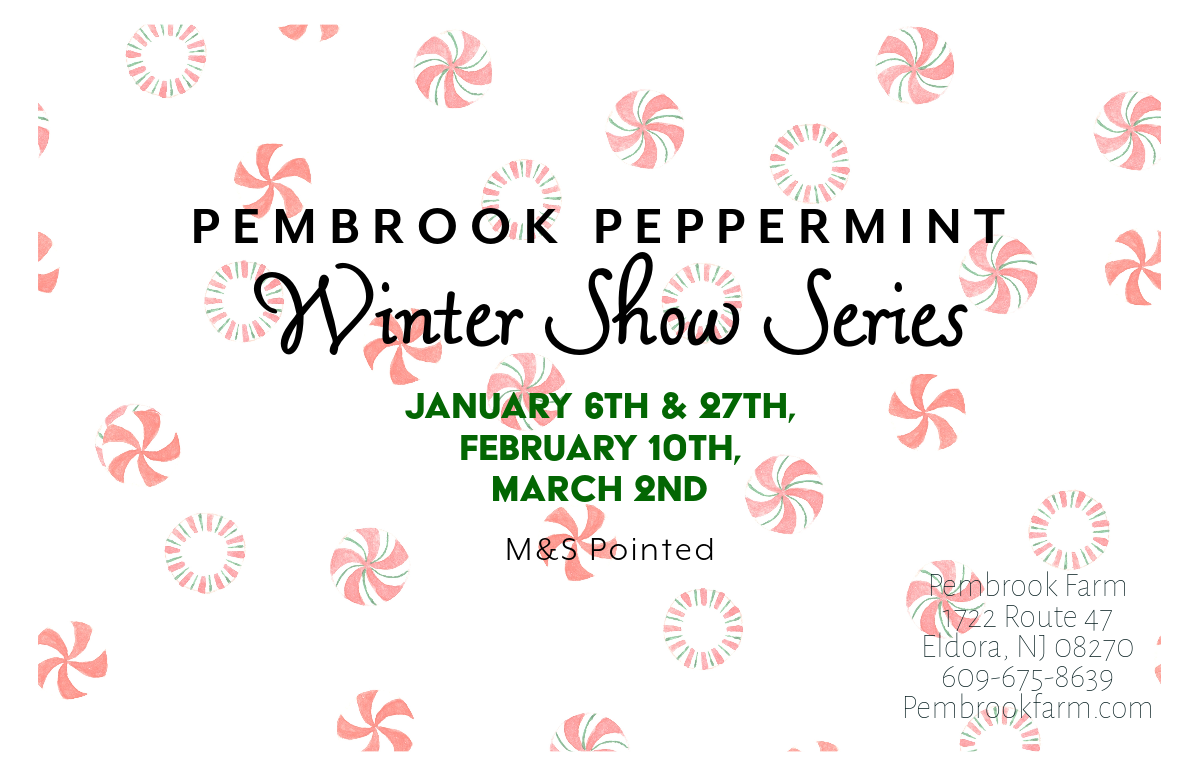 Pembrook Peppermint Winter Show Series, January 6th and 27th, February 10th, March 2nd. M&S Pointed